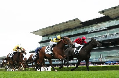 Randwick Tips for 01.03.2025