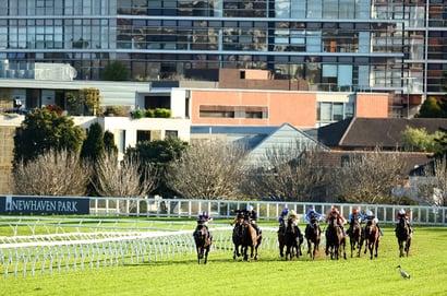 Randwick Tips for 06.09.2025