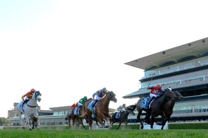 Randwick Tips for 09.08.2025