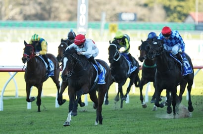 Randwick Tips for 12.07.2025