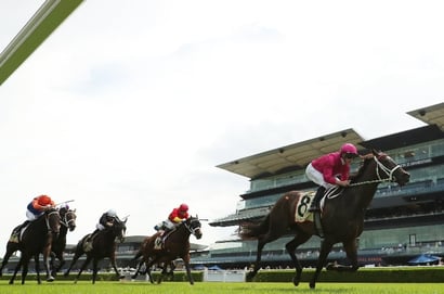 Randwick Betting Tips for February 15, 2025 - Race-By-Race preview for Apollo Stakes day