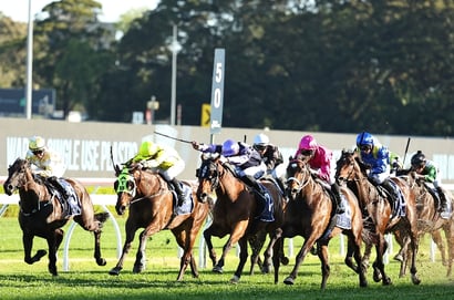 Randwick Tips for 20.09.2025