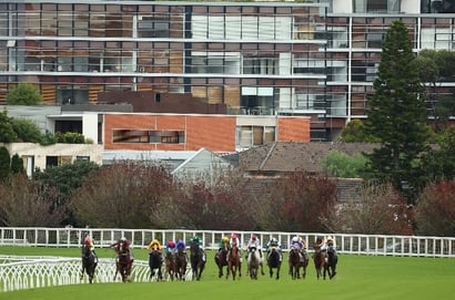 Randwick Tips for 24.05.2025
