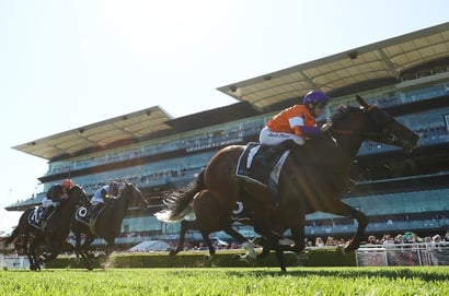 Randwick Tips for 25.10.2025