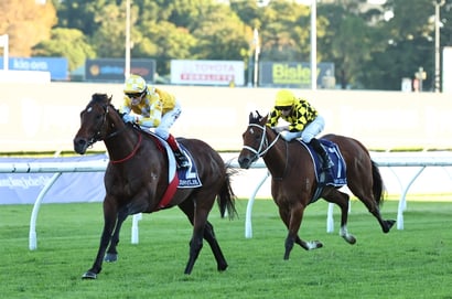 The Championships Day Two 2026 Photos - Best Images from Randwick
