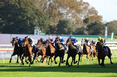The Championships Day 1 2026 Fields & Barriers - Randwick Full Race Guide