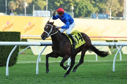 All Aged Stakes Day 2026 Images - Randwick Photo Gallery