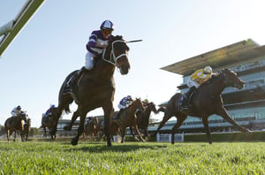 Loading