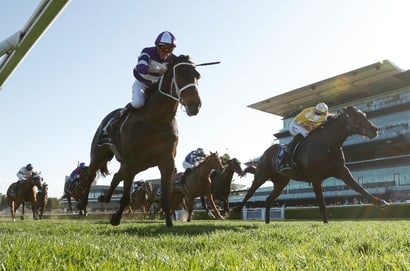 Randwick tips for 05.09.2026