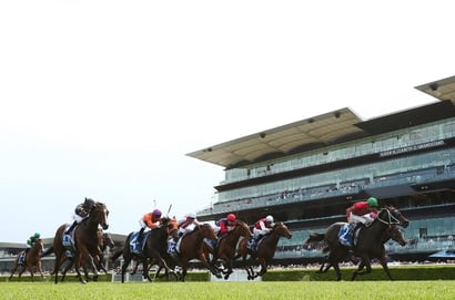 Randwick tips for 07.02.2026