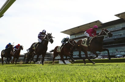 Randwick Betting Tips for February 14, 2026 - Stars Return on Apollo Stakes Day