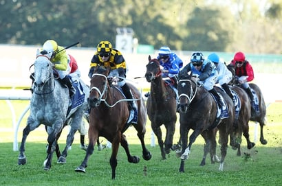 Randwick tips for 19.09.2026