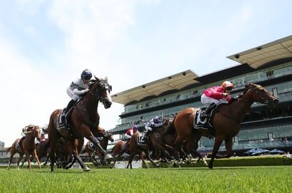 Randwick tips for 20.12.2025
