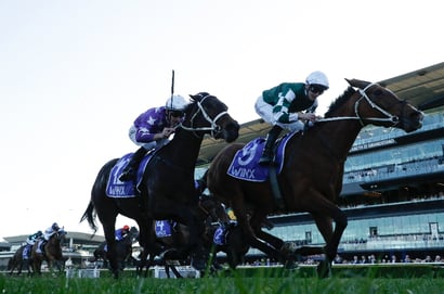 Randwick tips for 22.08.2026
