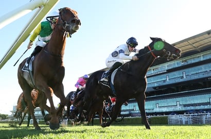Randwick tips for 23.05.2026