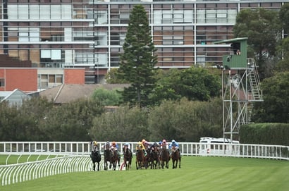 Randwick tips for 25.04.2026