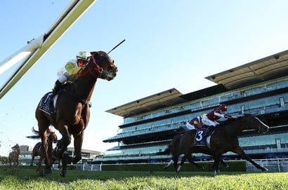 Randwick tips for 25.07.2026