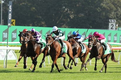 Randwick tips for 28.02.2026