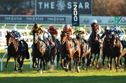 Randwick Betting Tips for June 20, 2026 - Bustling Towards Victory