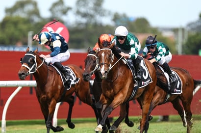 Ranvet Stakes Tips