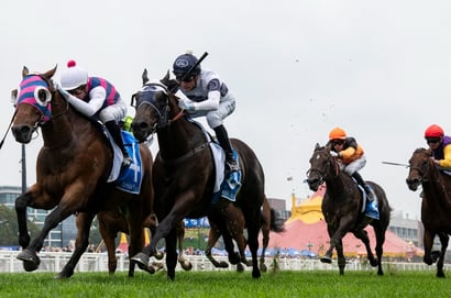 The Goodwood Racing Tips - Flying For Fun to burst through in Morphettville feature