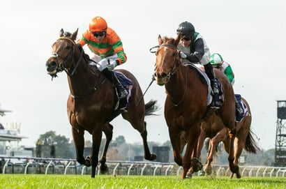 Stradbroke Handicap Tips - Hayes stable to end Stradbroke hoodoo as Gollan galloper bids to sneak into the field