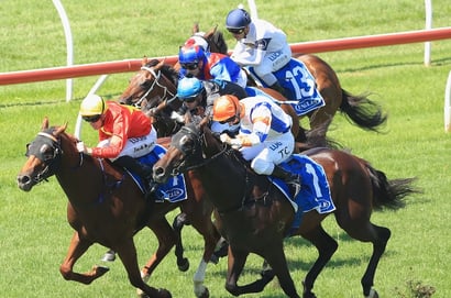 Rockhampton tips - 31/07