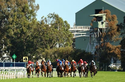 Rosehill Blackbookers - Saturday, September 13