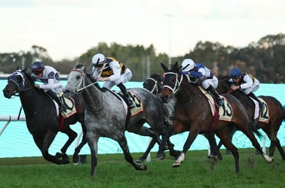 Rosehill Blackbookers - Saturday, August 16