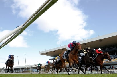 Rosehill Blackbook