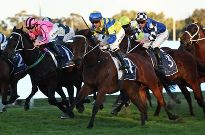 Rosehill Blackbookers