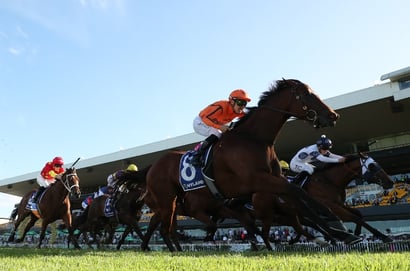 Rosehill Blackbookers