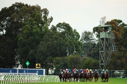 Rosehill Blackbookers