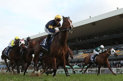 Rosehill Blackbookers