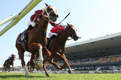 Rosehill Blackbookers