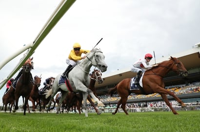 Rosehill Blackbookers
