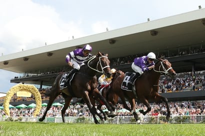 Rosehill Blackbookers