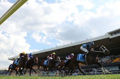 Rosehill Blackbookers