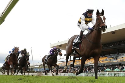 Rosehill Blackbookers