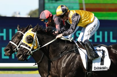 Rosehill Blackbookers