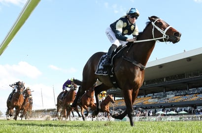 Rosehill Blackbookers