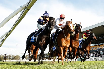 Rosehill Blackbookers