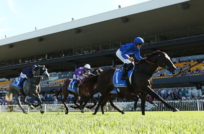 Rosehill Guineas Odds
