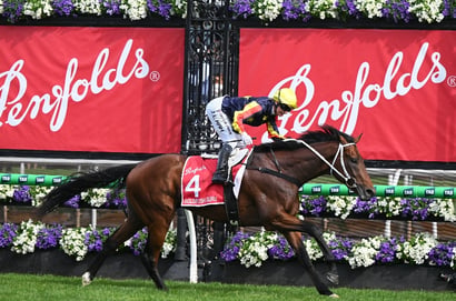 Rosehill Guineas Tips