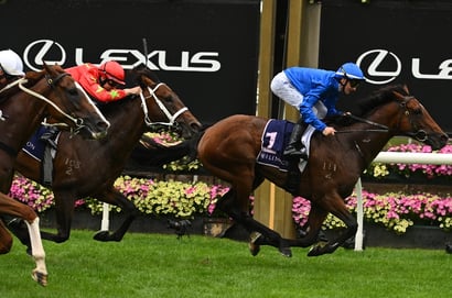 Rosehill Guineas odds