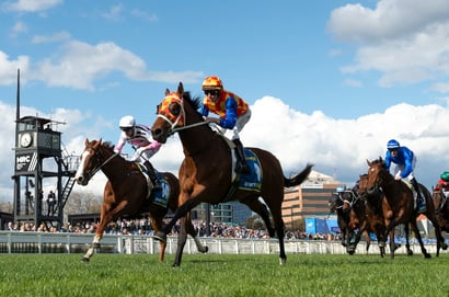 Rosehill Guineas 2026 Betting Tips - Autumn Boy vs Observer Showdown