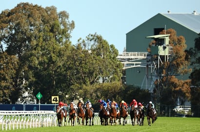 Rosehill Horse Racing