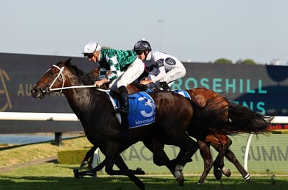 Rosehill Horse Racing