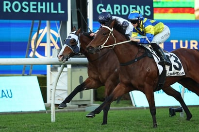 Rosehill Horse Racing