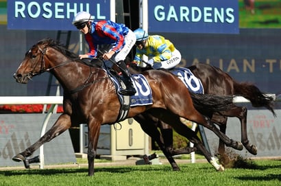 Rosehill Horse Racing